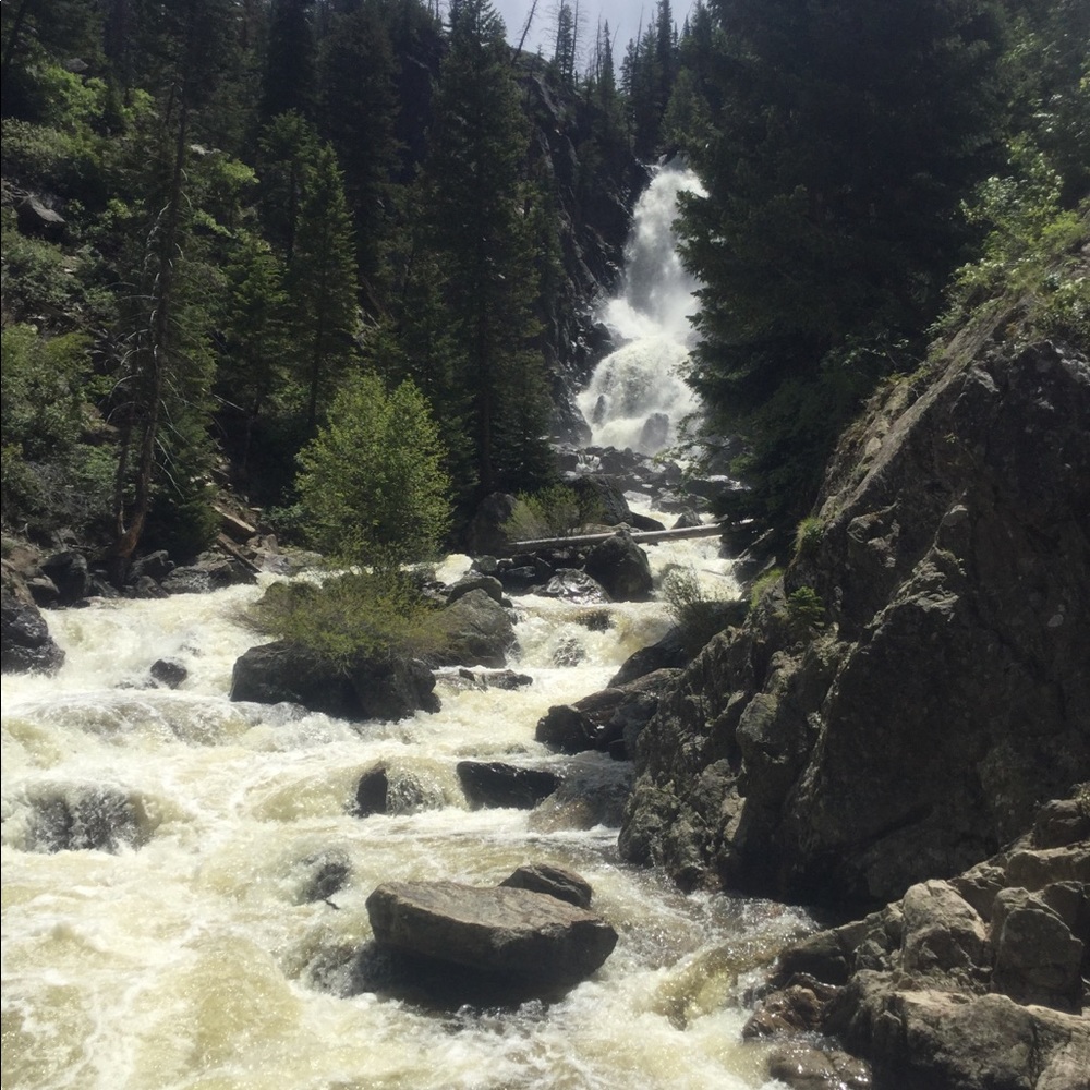 Welcome/Meet the posher